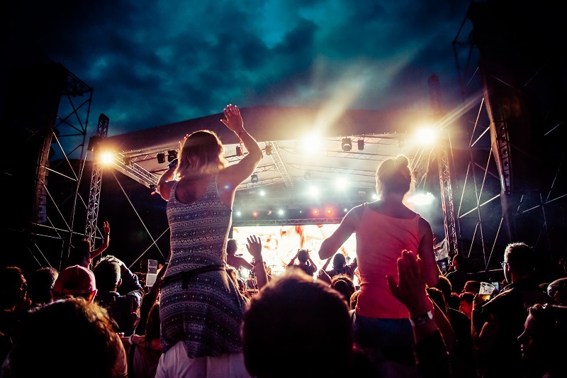 flowers flowers  / hydrangea flowers